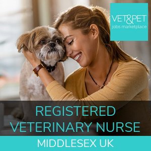 Registered Veterinary Nurse
