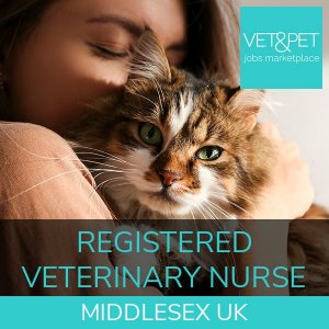 Registered Veterinary Nurse