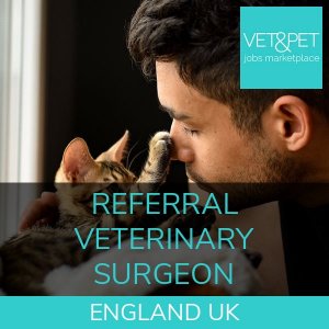 Referral Veterinary Surgeon