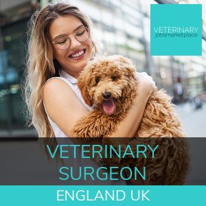 Veterinary Jobs Liverpool United Kingdom - UK - Veterinarian & Veterinary  Nurse :: Veterinary Jobs Marketplace