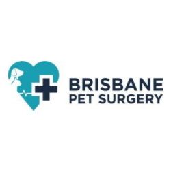 Brisbane Pet Surgery